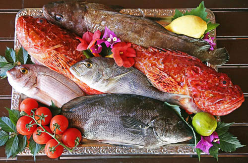 Restaurant de poissons Réserve naturelle de Scandola